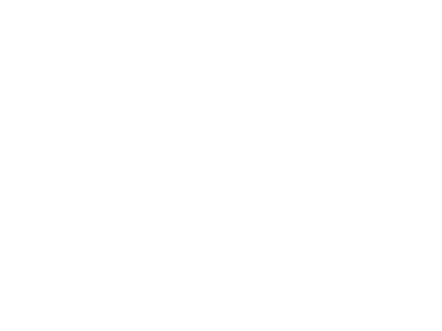 Slott